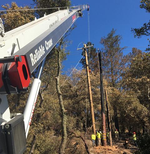 The Reliable Crane Team setting power poles with utility company in remote forest terrain